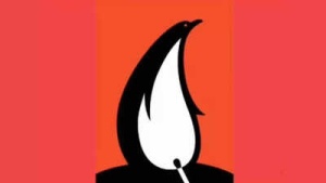 Optical illusion personality test: Penguin or flame? What you spot first reveals if you have a big heart or big dreams