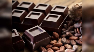 5 Reasons to add dark chocolate to the daily diet