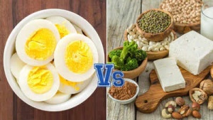 Vegetarian Powerhouses: 20 Plant-Based Protein Sources That Outperform Eggs