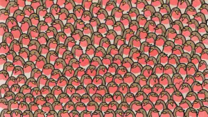 Optical illusion: Just 1% of people can spot the two hearts in this robin challenge in 5 seconds, can you?