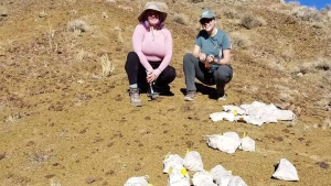Tiny fossils reveal how water flow shaped the early marine ecosystem
