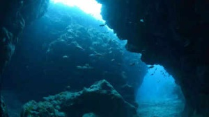 Unique, rare Earth elements unveiled on an underwater island; here’s what it means for the future