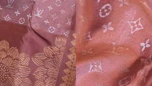 South Indian Saree Shop's Viral 'Louis Vuitton' Kanchipuram Saree: A Bold Response to Prada's Cultural Appropriation Row