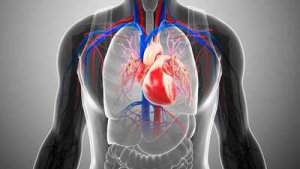 US Doctors Sound Alarm on Aortic Aneurysms: The 'Silent Killer' Threatening Millions