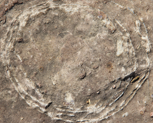 India's Largest Dinosaur Hatchery Uncovered: Ancient 'Sacred Stones' Revealed as 70-Million-Year-Old Titanosaur Eggs