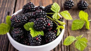 Blackberries: The Superfood Boosting Heart Health, Immunity, and Blood Sugar Control