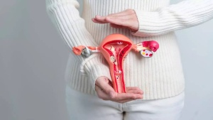 Fibroids and Fibroadenomas: Understanding the Cancer Risk and What Women Need to Know