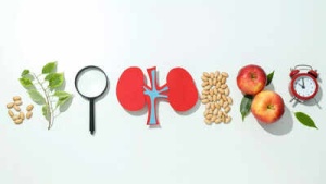 Kidney Transplant Recovery: Your Guide to Diet, Nutrition, and Lifestyle Adjustments for Long-Term Health