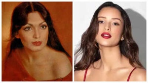 Triptii Dimri Poised to Portray Parveen Babi in Upcoming Biopic Series?
OR
'Animal' Star Triptii Dimri Eyes Role as Parveen Babi in Netflix Biopic Project