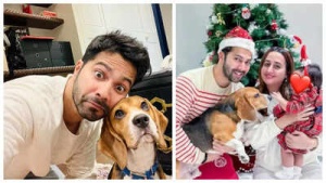 Varun Dhawan Credits Pet Dog Joey for Preparing Him for Fatherhood, Declares: 'I Don't Differentiate Between My Dog and My Child'