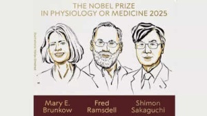 Nobel Prize in Medicine 2025: Groundbreaking Immune Tolerance Research Earns Trio Top Honor
OR
2025 Nobel Prize in Physiology or Medicine Awarded to Brunkow, Ramsdell, and Sakaguchi for Immune Tolerance Breakthroughs
