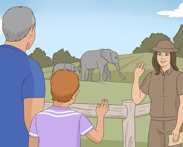 How to Behave in a Zoo