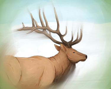 What Do Deer Symbolize Spiritually?
