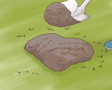 How to Fix Sinkholes