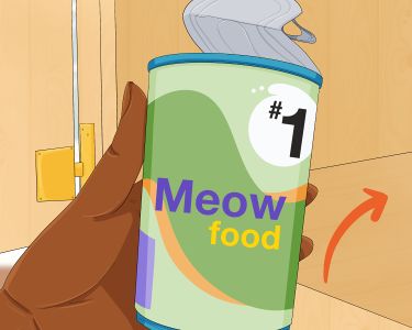 How to Store Wet Cat Food