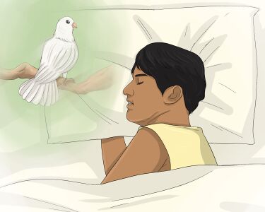 What Is the Meaning of a White Dove?