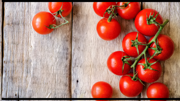Fresh and ripe tomatoes.