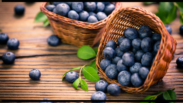 Healthy and delicious blueberries.