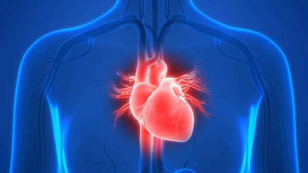 Eggs and heart health