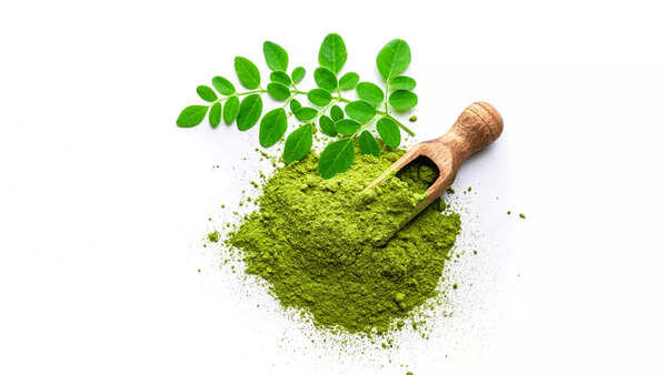 Close-up of vibrant green moringa leaves