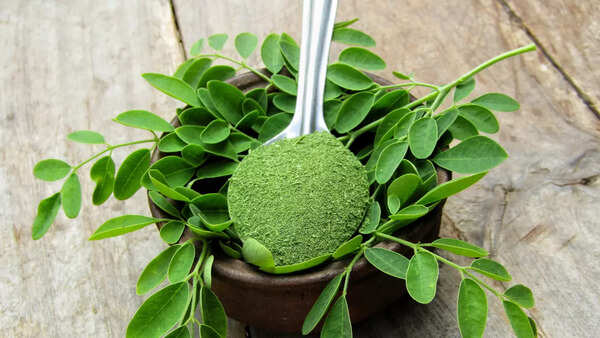 Antioxidant-rich moringa powder in a bowl