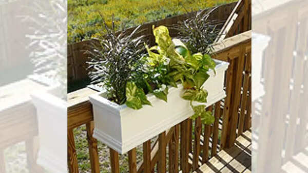 Rail planters on a balcony railing