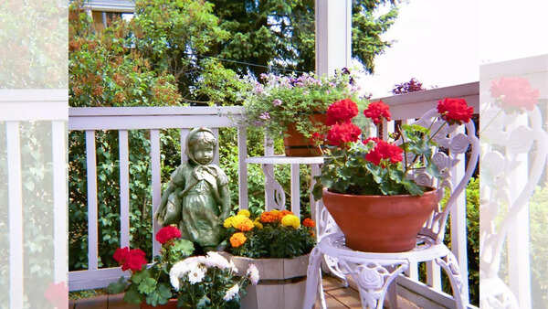 Creative repurposed container planters