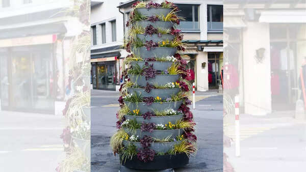 Tiered plant stand with various plants