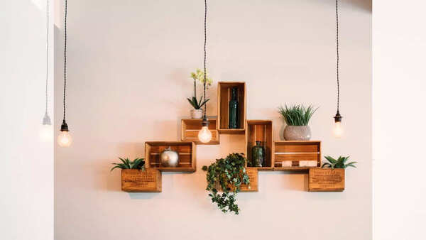 Wall mounted planters with succulents