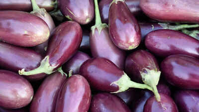 Eggplant side effects: 9 people who should avoid brinjal for health reasons