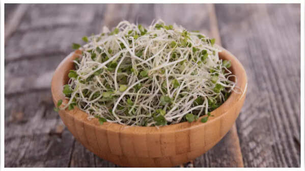 Sprouts: Nutrient-dense and easy to digest