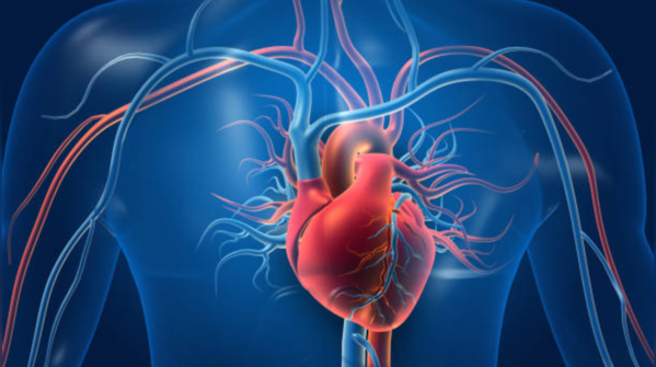 Heart attack symptoms can vary in women