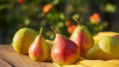 What is Babugosha called in English: Know its health benefits, how it helps boost immunity, and manage diabetes