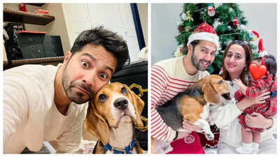 'I don’t differentiate between my dog and my child': Varun Dhawan reveals how his pet Joey prepared him to welcome his daughter Lara