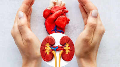 Max Hospital cardiology director explains how heart and kidney health are connected