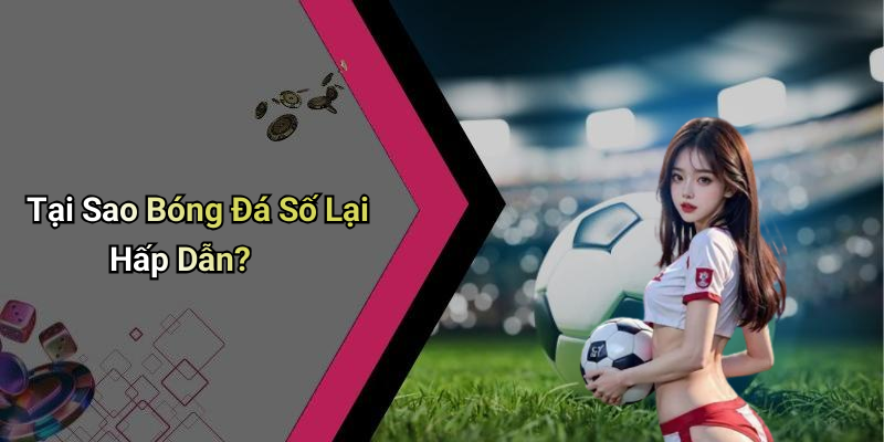 Tại Sao Bóng Đá Số Lại Hấp Dẫn?