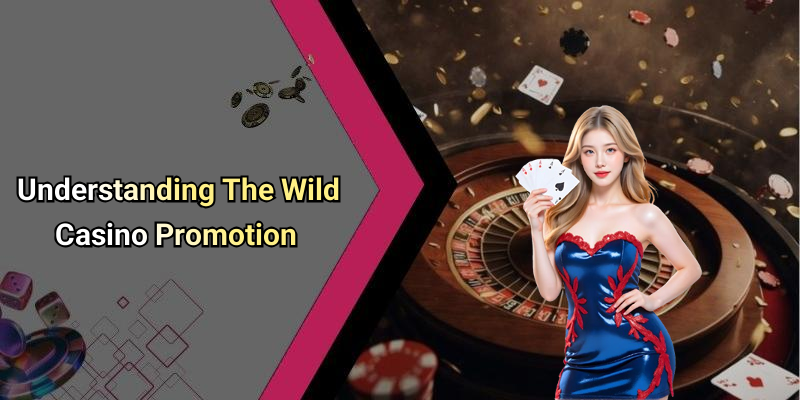 Understanding The Wild Casino Promotion
