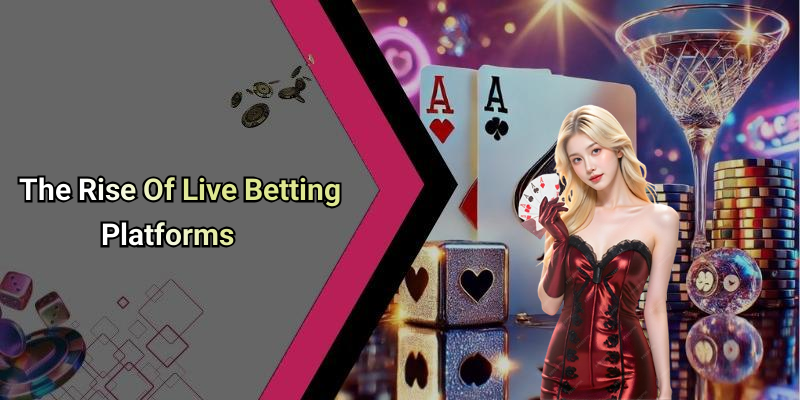 The Rise Of Live Betting Platforms