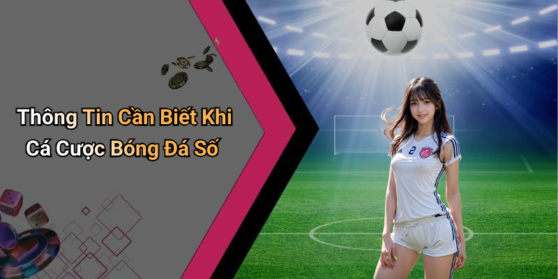 Thông Tin Cần Biết Khi Cá Cược Bóng Đá Số