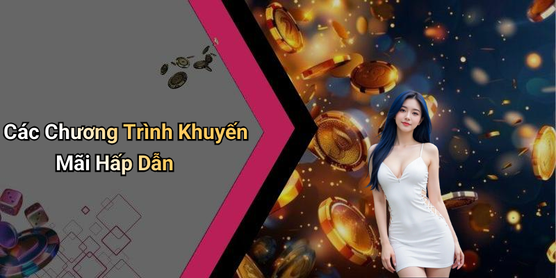 Các Chương Trình Khuyến Mãi Hấp Dẫn