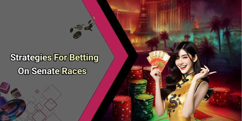 Strategies For Betting On Senate Races