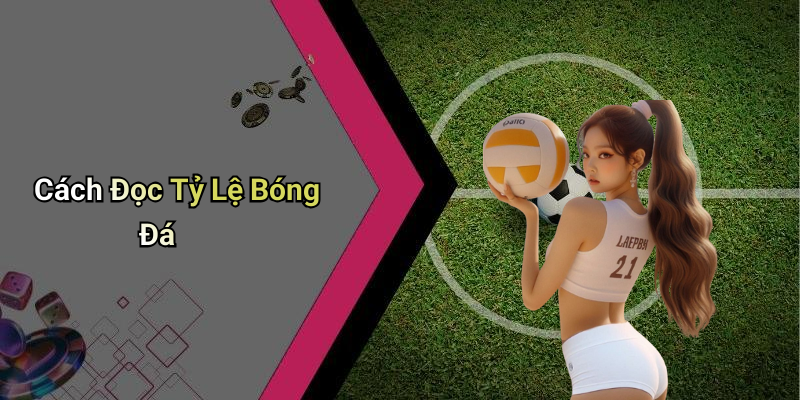Cách Đọc Tỷ Lệ Bóng Đá