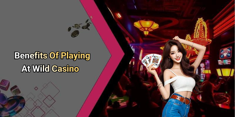 Benefits Of Playing At Wild Casino